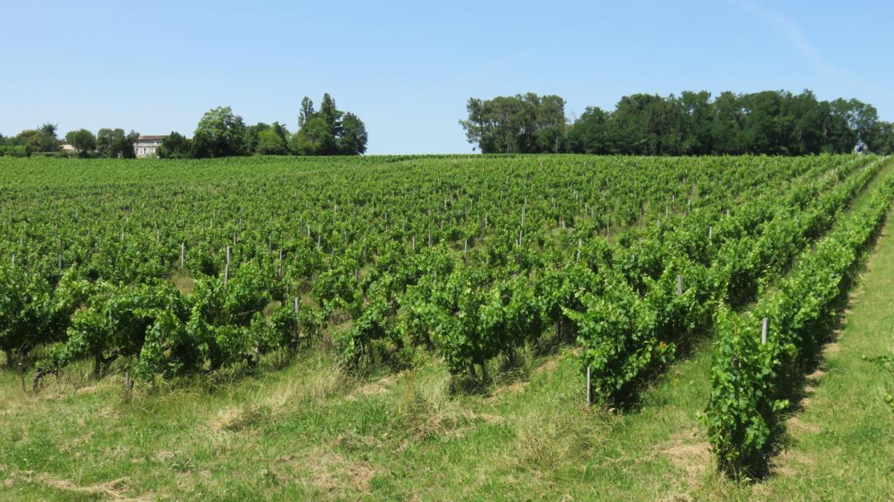 Chateau Begot Lansac  Buitenkant foto
